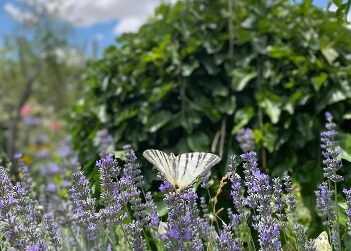 Kemal's Szálloda 2*