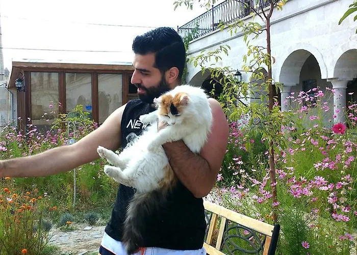 Szálloda Kemal's 2*